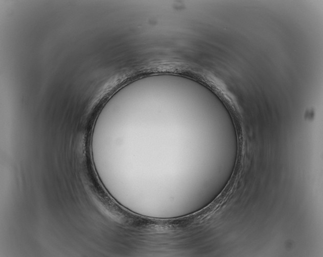 X0000090930250200707301121