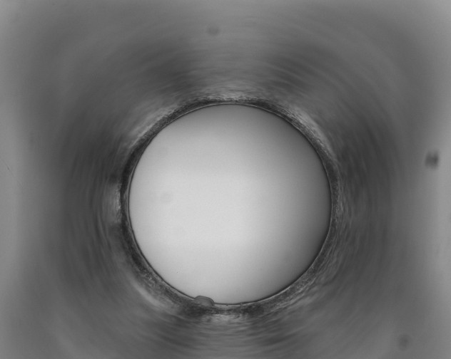 X0000090930251200707301121