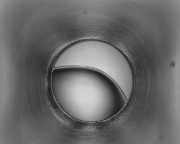 X0000090930252200707301121