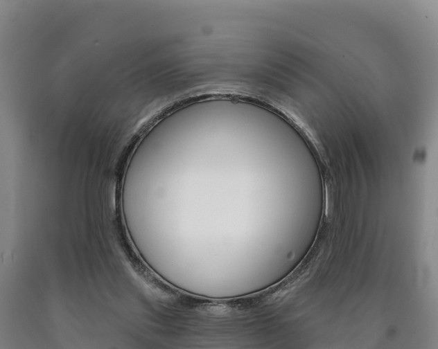 X0000090930253200707301121