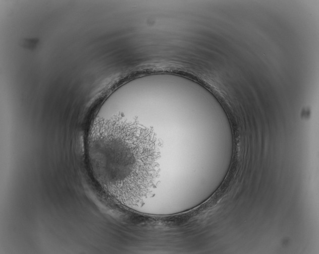 X0000090930254200707301121
