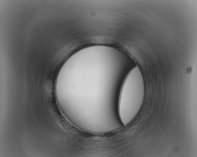 X0000090930255200707301121