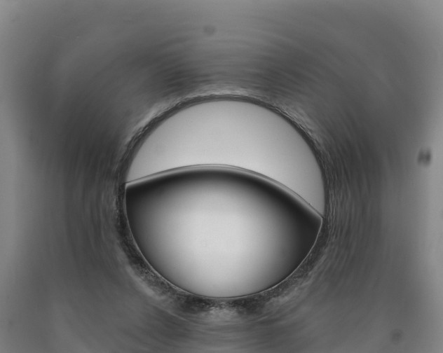 X0000090930256200707301121