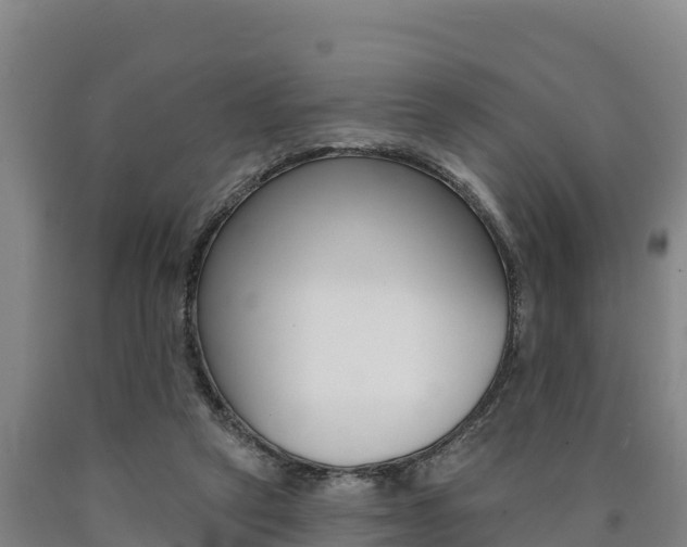 X0000090930257200707301121