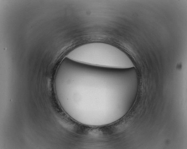 X0000090930258200707301121