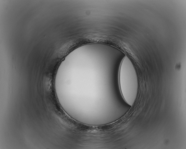 X0000090930259200707301121