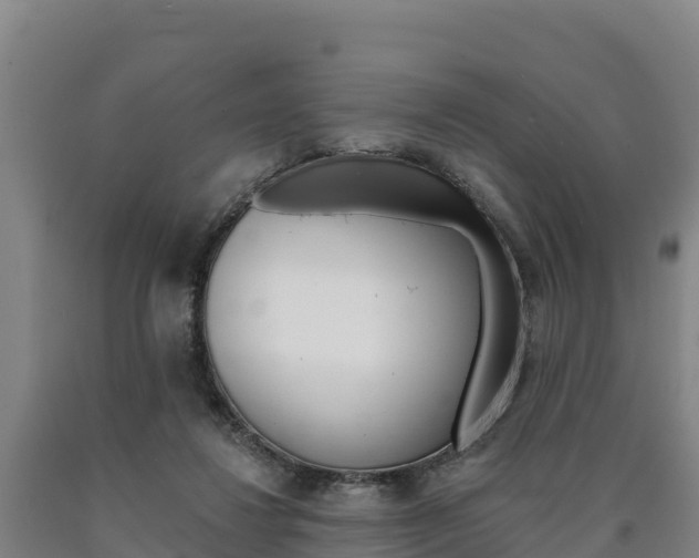 X0000090930260200707301121