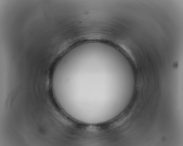 X0000090930261200707301121