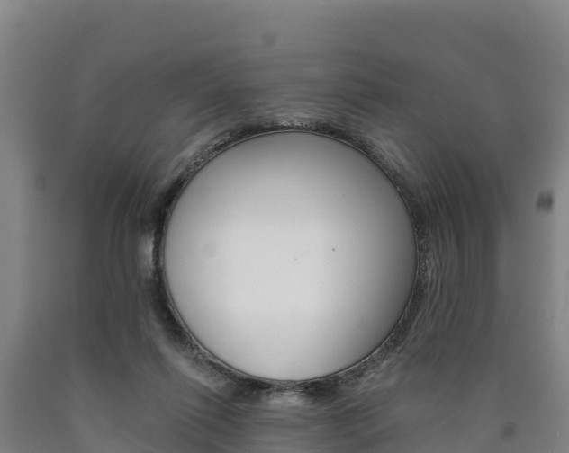 X0000090930262200707301121