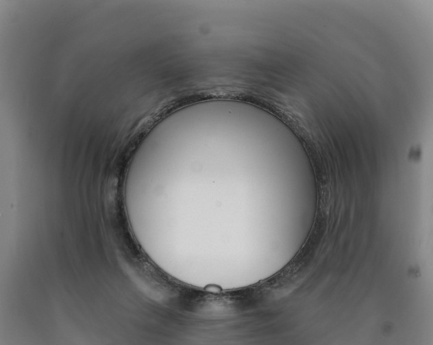 X0000090930263200707301121
