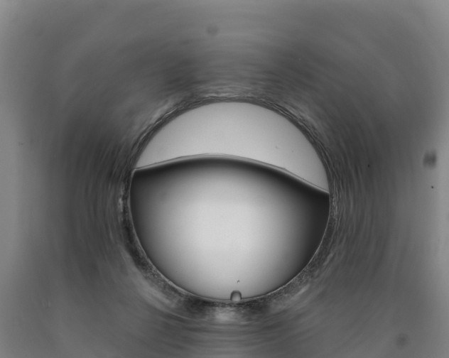 X0000090930264200707301121