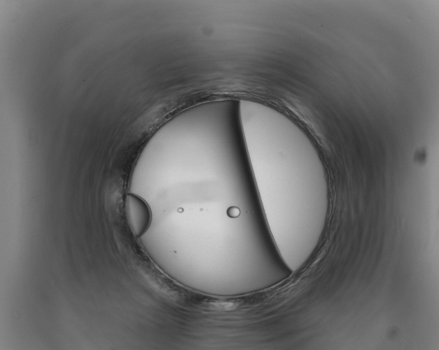 X0000090930265200707301121
