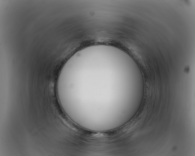 X0000090930269200707301121