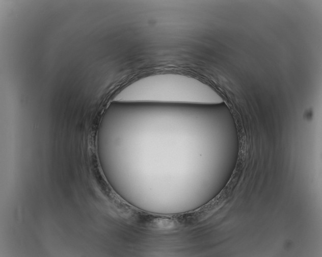 X0000090930272200707301121