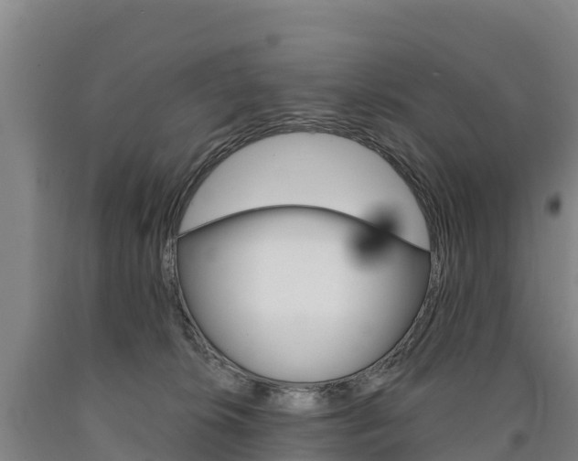 X0000090930276200707301121