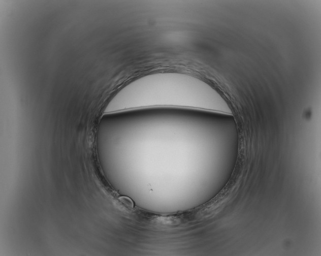 X0000090930277200707301121