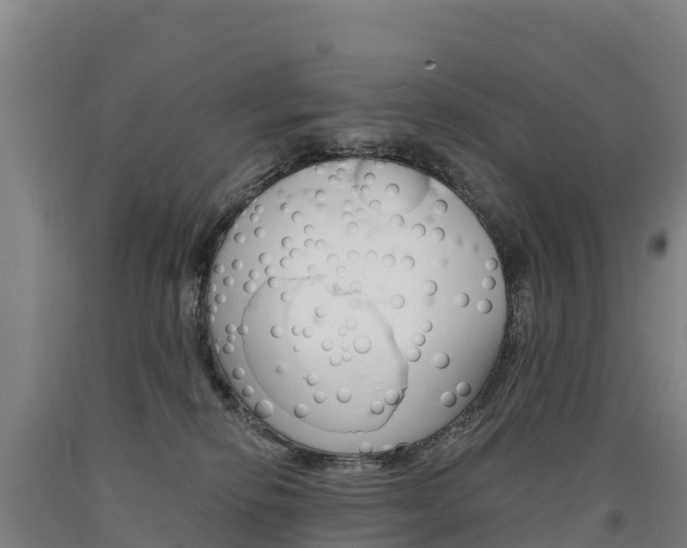 X0000090930278200707301121