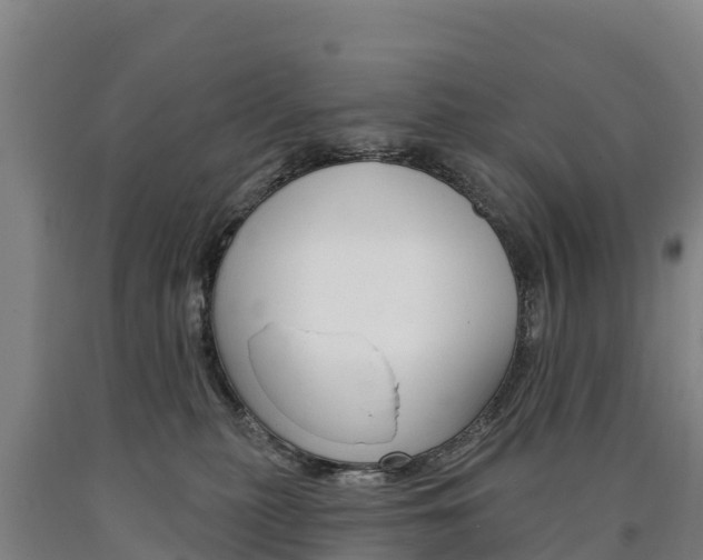 X0000090930279200707301121
