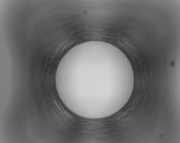 X0000090930280200707301121