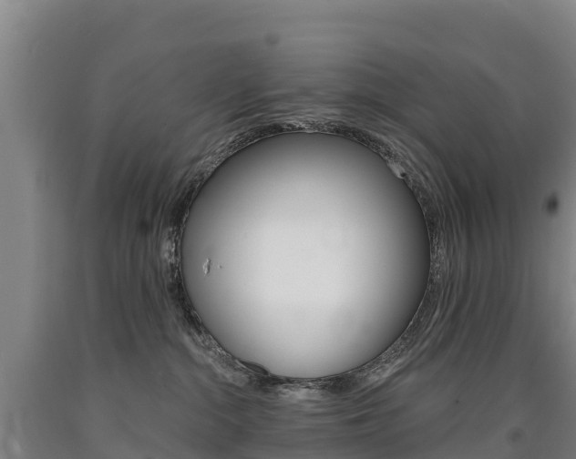 X0000090930284200707301121