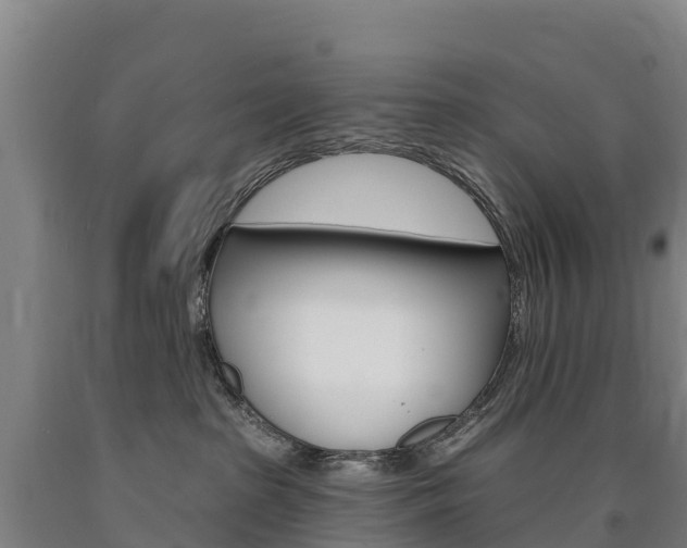X0000090930285200707301121
