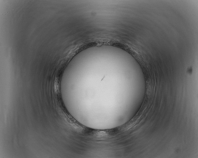 X0000090930287200707301121