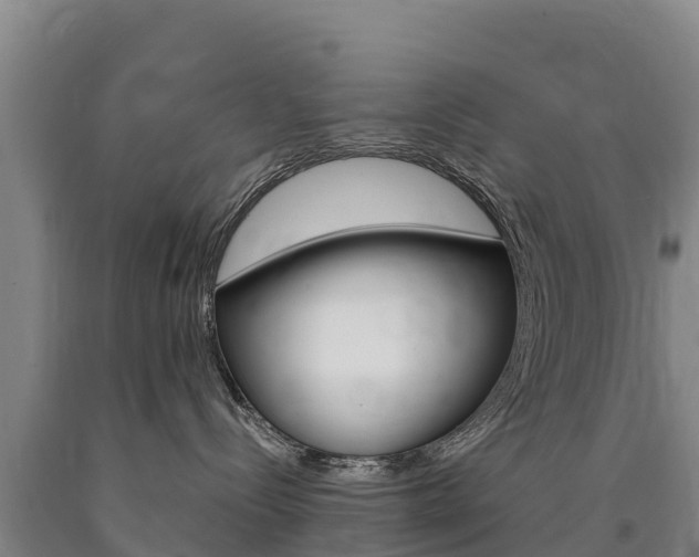 X0000090930288200707301121
