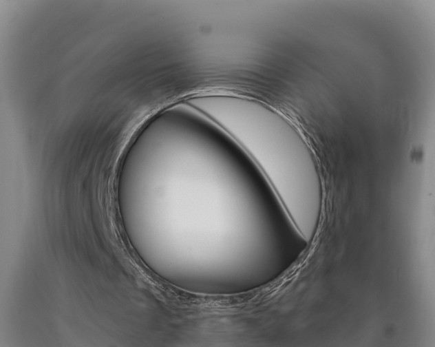 X0000090930289200707301120