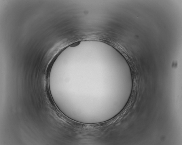 X0000090930290200707301120