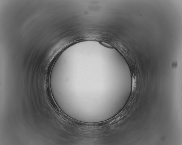X0000090930291200707301120
