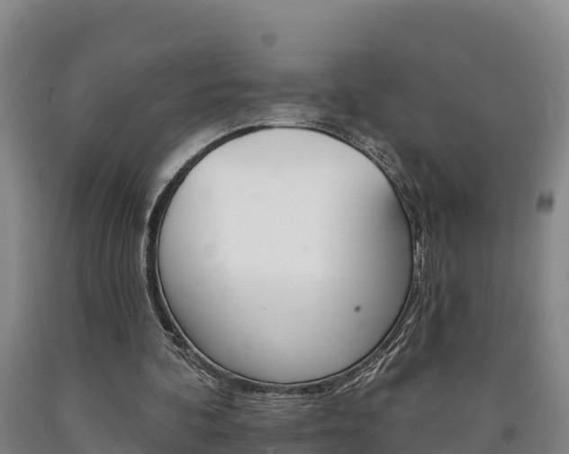 X0000090930292200707301120