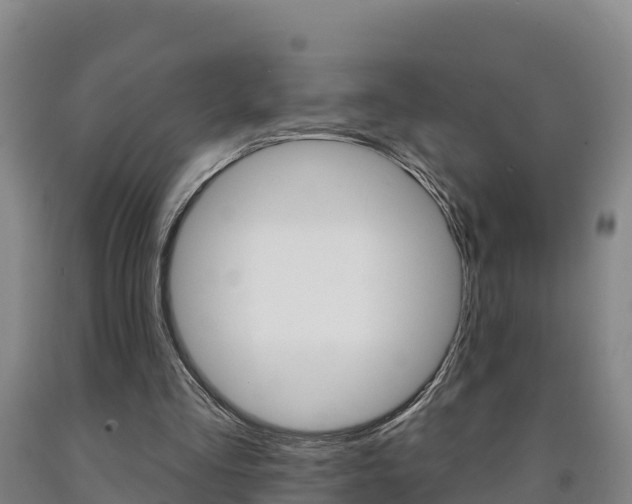 X0000090930293200707301120