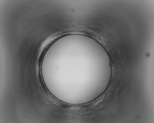 X0000090930294200707301120