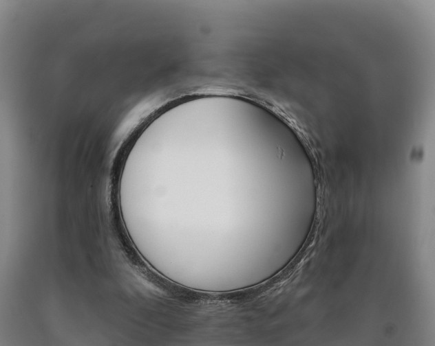 X0000090930296200707301120