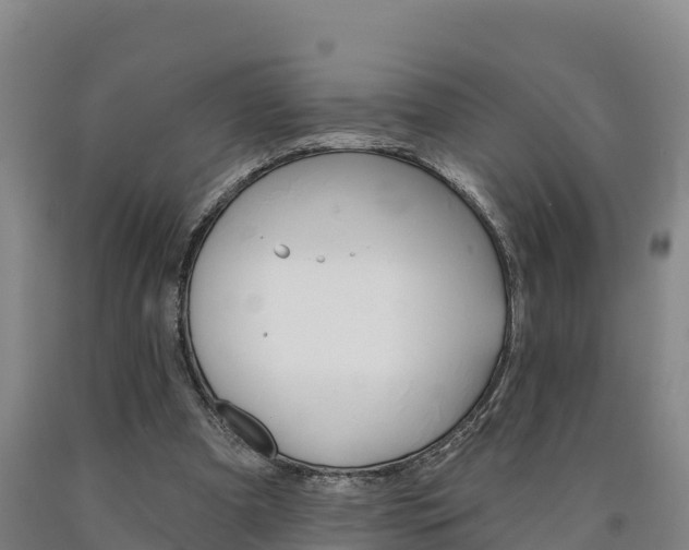 X0000090930297200707301120