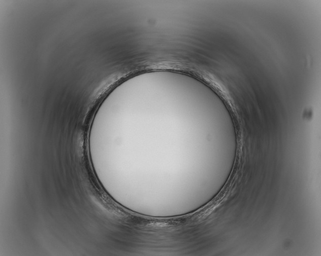 X0000090930298200707301120