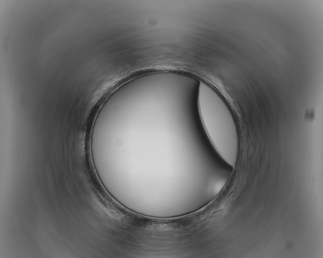 X0000090930299200707301120