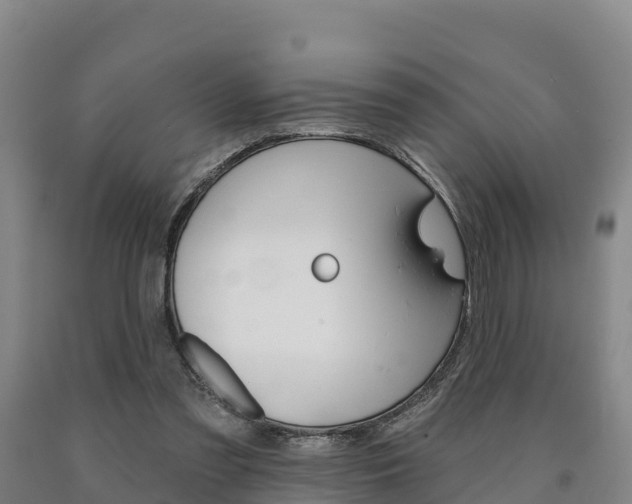 X0000090930301200707301120