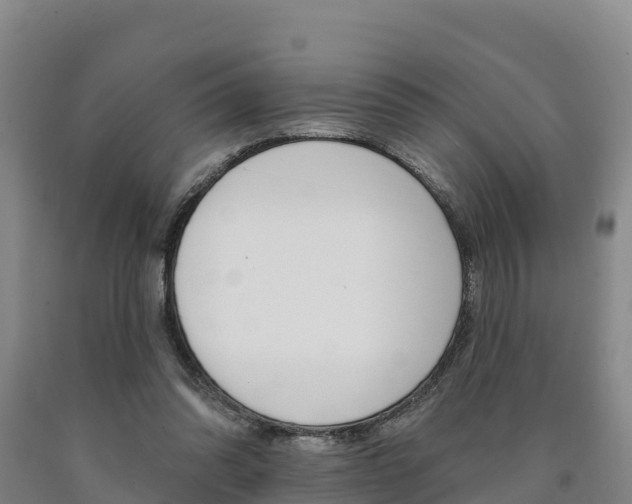 X0000090930302200707301120