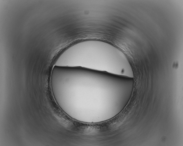 X0000090930303200707301120