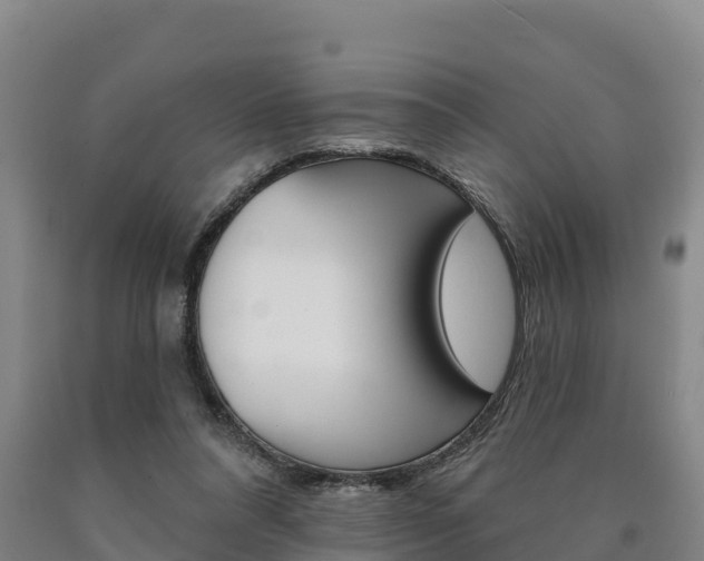 X0000090930304200707301120