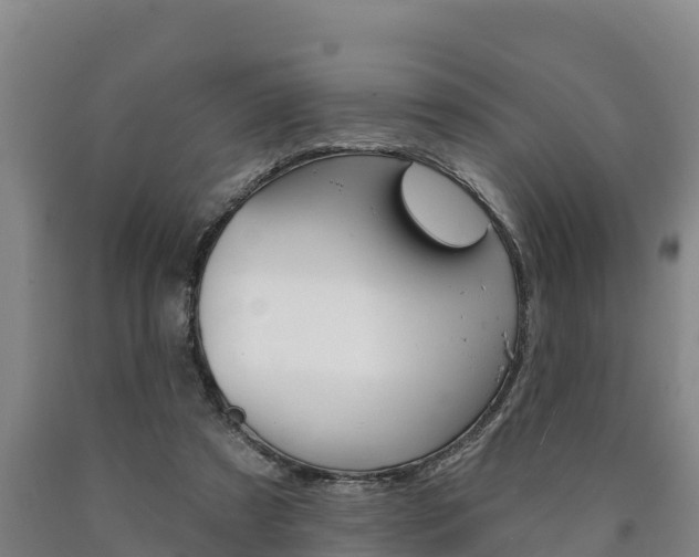 X0000090930305200707301120