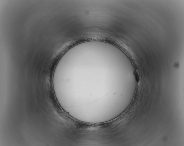 X0000090930306200707301120
