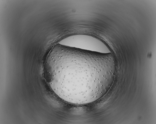 X0000090930307200707301120