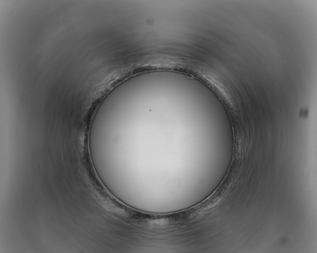 X0000090930309200707301120