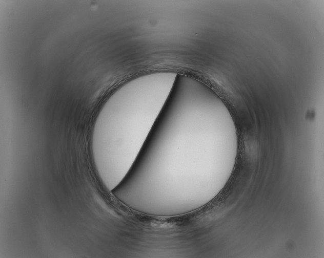 X0000090930311200707301120