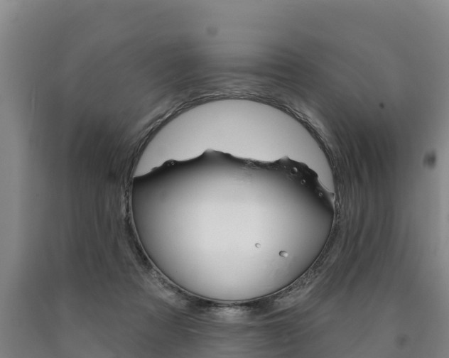 X0000090930313200707301120