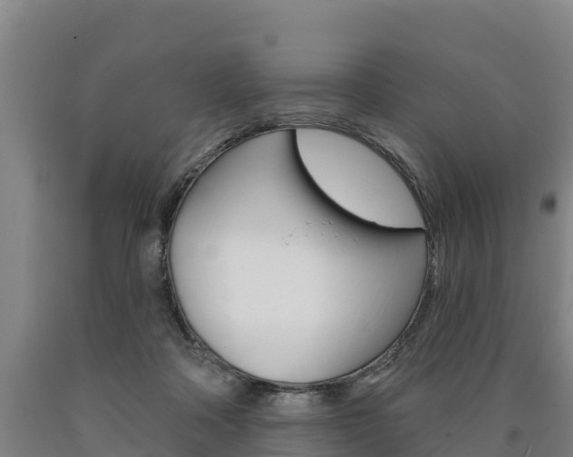 X0000090930314200707301120