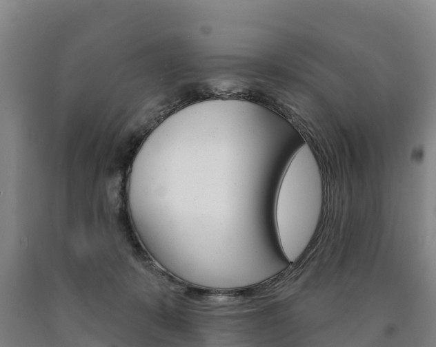 X0000090930319200707301120