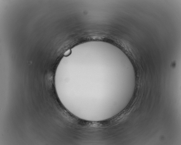X0000090930321200707301120